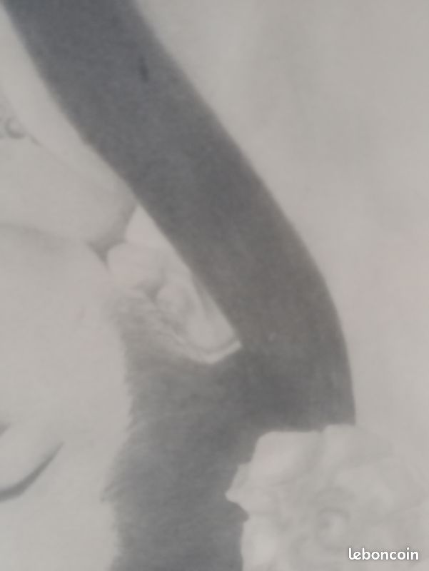 Dessin ancien au crayon - Portrait de femme asiatique (image 5)