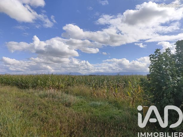 Terrain 3756 m² Ibos