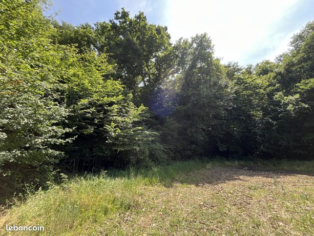 Terrain 8900 m² Ségry