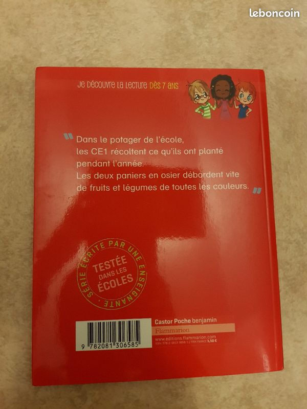 Livre je suis en ce1 (image 2)