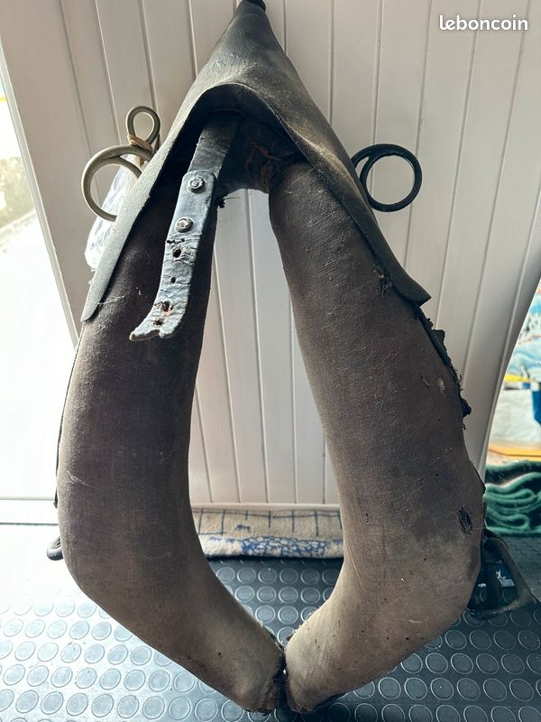 Collier de poneys plus glace (image 2)
