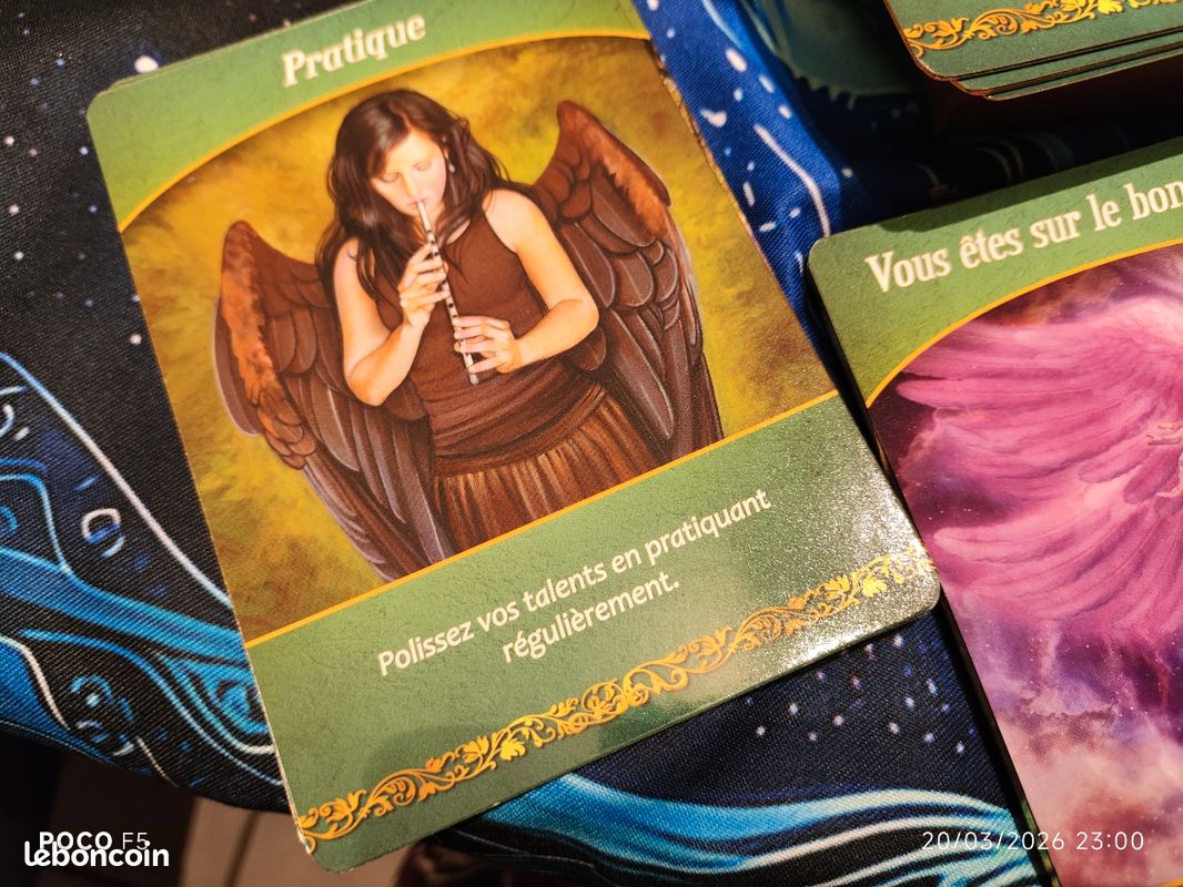44 Cartes Oracle Native Spirit, Anglais Complet, Cartes De Jeu De Divination Mystérieuses, pour Le Jeu De Société Solitaire De Fête De Famille, Convient Aux Débutants De Tarot