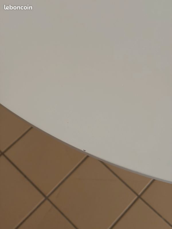 Table ronde (image 3)