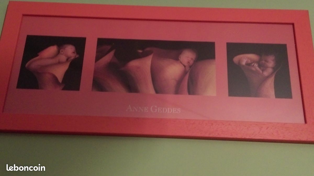 Tableau anne geddes (image 1)
