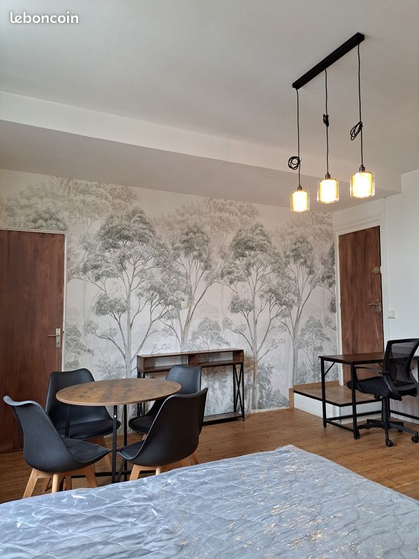 Chambre studio meublée de 23 m2 avec salle de douche + bureau partagé (image 1)