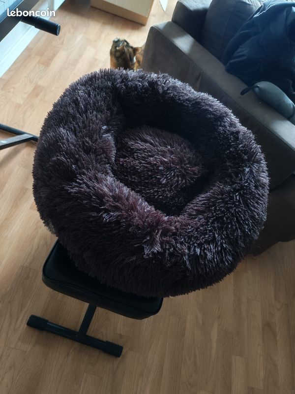 Coussin chat moelleux (image 2)