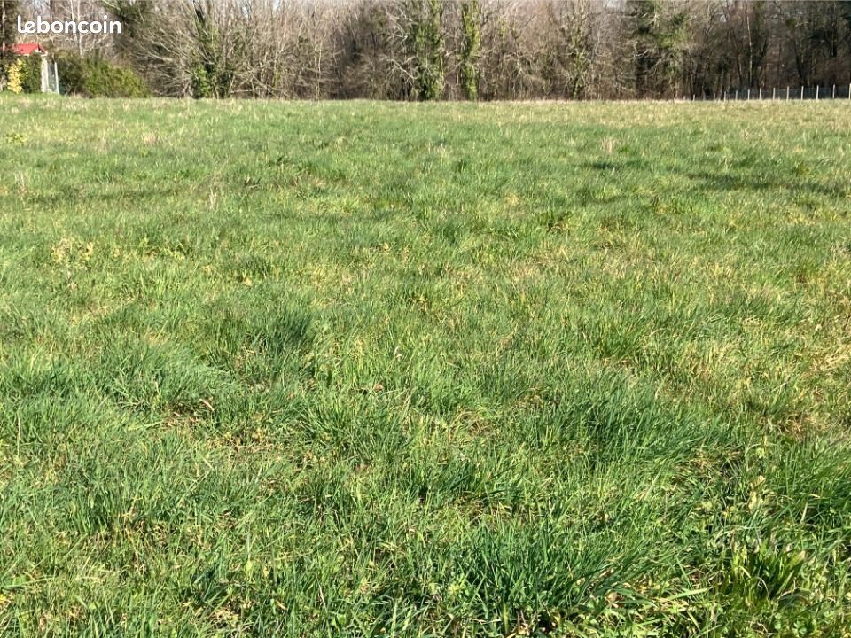 Terrain 413 m² Saint Cesaire · à Saint-Césaire · 28 910 €