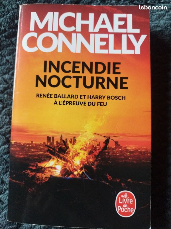 Incendie nocturne (image 2)