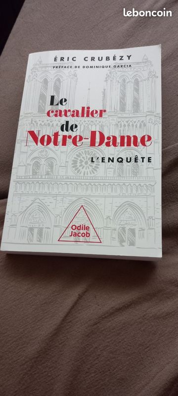 Le cavalier de Notre-Dame (image 2)