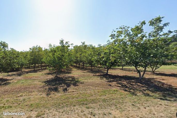 Terrain 1994 m² Lanzac