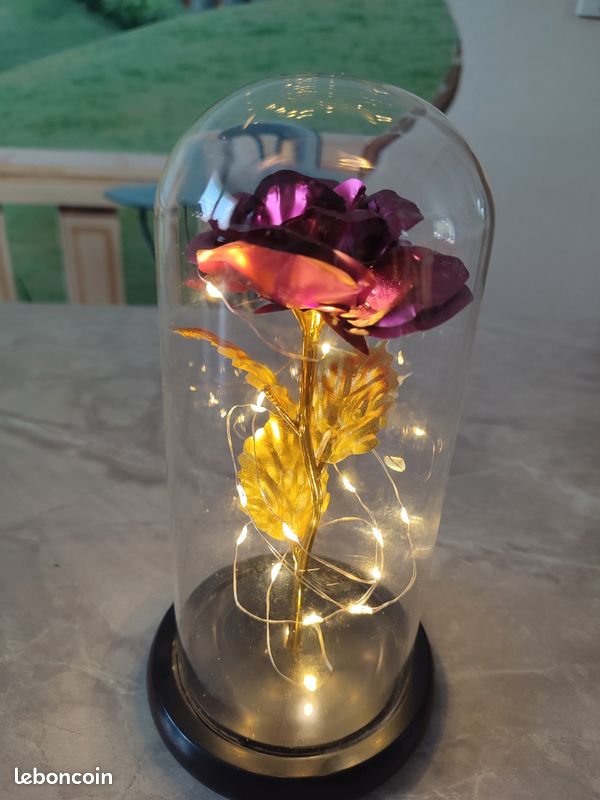 Rose sous globe en verre couleur fushia (image 8)