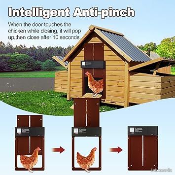 Porte Automatique Poulailler Programmable - Ouverture/ Fermeture Timer Avec Anti-Pincement