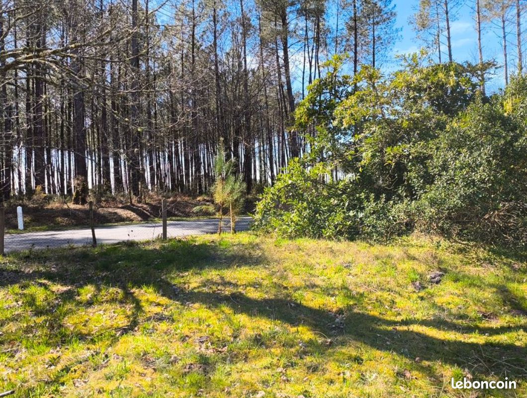 Terrain 2550 m² · à Gourbera · 160 000 €