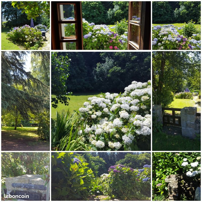 Location vacances (image 6)