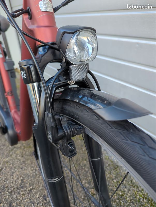 Vhbw Batterie Compatible Avec Raleigh Dover De Luxe P8 XXL, XXL LTD, HS, 360 Vélo électrique  17 6ah 25 2v Li Ion Noir 84060247