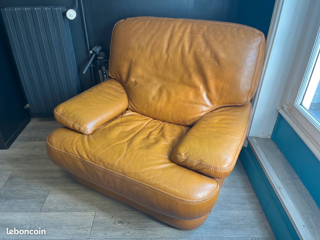 2 Fauteuils en cuir (image 1)