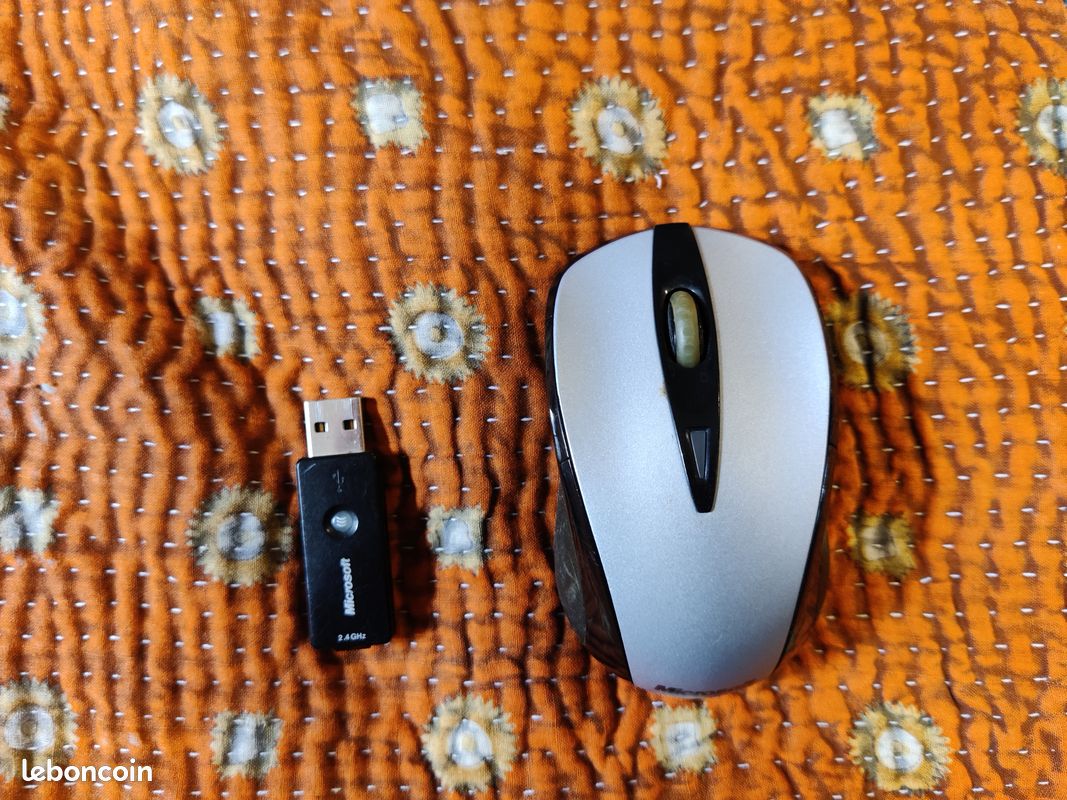 Souris Microsoft - Wireless Notebook Laser Mouse 7000 - USBA (image 1)