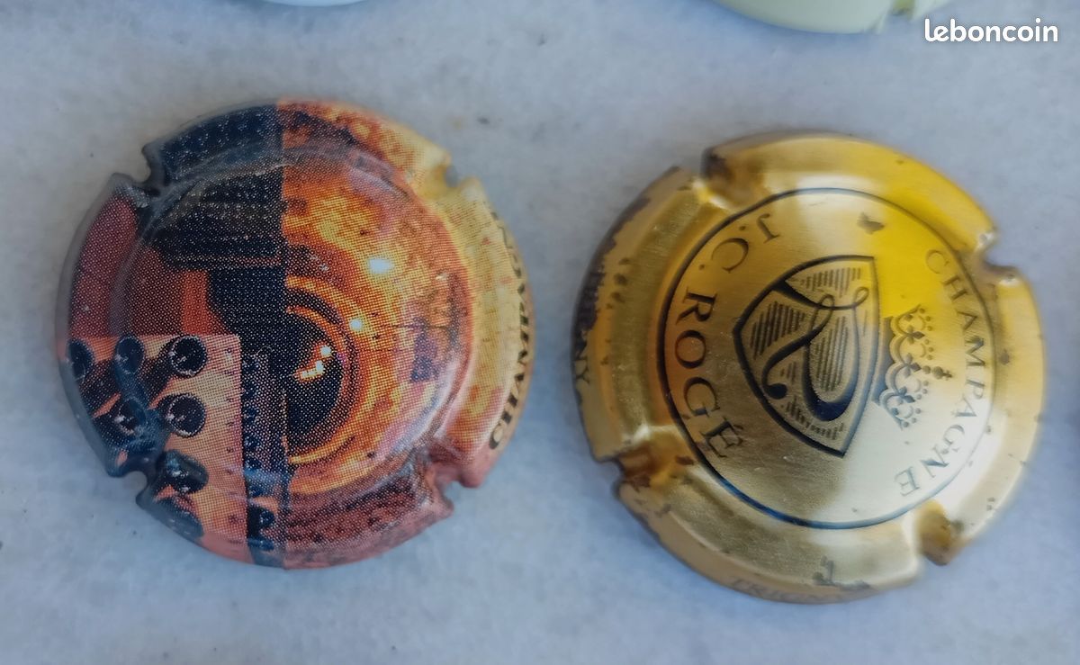 75 capsules pour Placomusophile différentes (image 3)