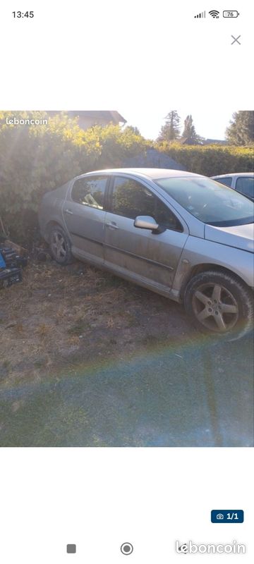 Peugeot 407 (image 1)