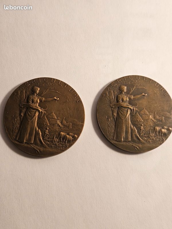 Médaille Ancienne France - Comice Agricole De Carvin - Bronze (TTB+)