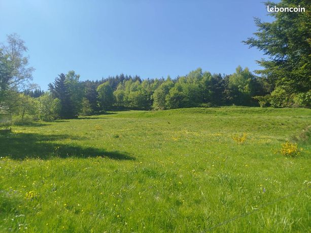 Terrain 6 438 m² Chaudeyrac