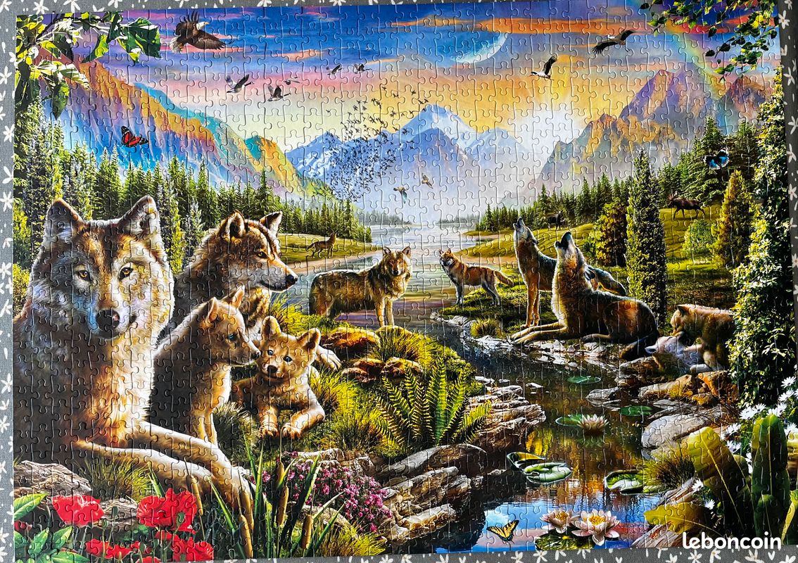 Puzzle 1000 pièces (image 1)