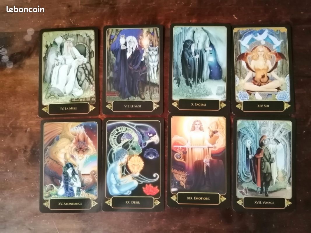 Le tarot des rêves de Gaïa (de Ravynne Phelan)- relié et illustré (image 10)
