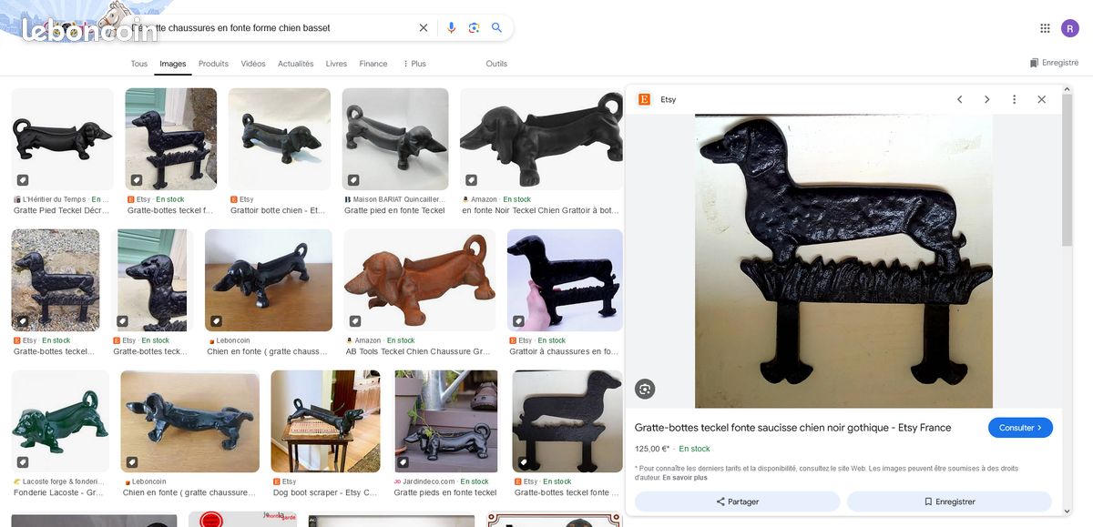 Grattoir à boue en fonte robuste grattoir à chaussures pour jardin cour entrée r