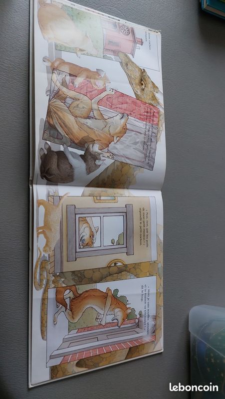 Livre enfant (image 1)