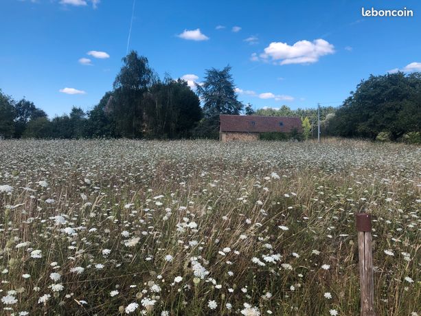 Direct Particulier, Terrain Constructible, 2250 m² à Plazac
