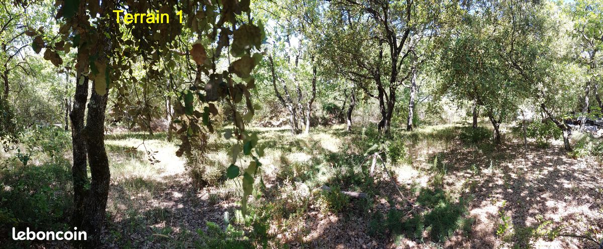 Terrain piscinable 900 m2 très calme et nature en Luberon Provence ...au milieu des chênes et pins très abrité du Mistral · à