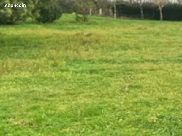 Terrain 500 m² Saint Genes De Fronsac