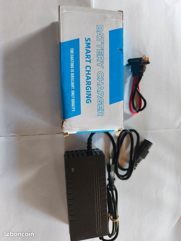 Chargeur de batterie Lifepo4 (image 1)