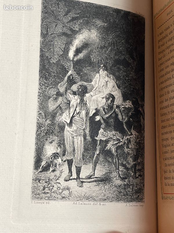 Paul et Virginie, Saint-Pierre, 1879, ill., SUPERBE RELIURE (image 10)