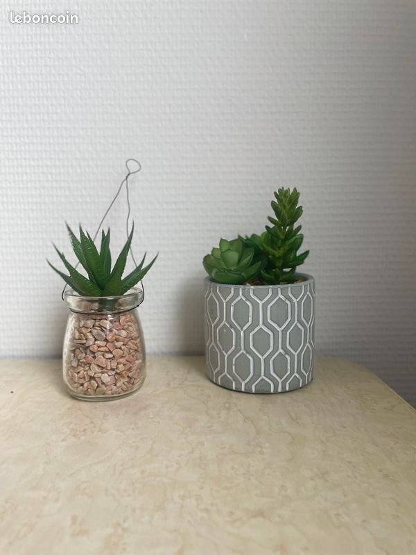 Décoration murale / plantes (image 2)
