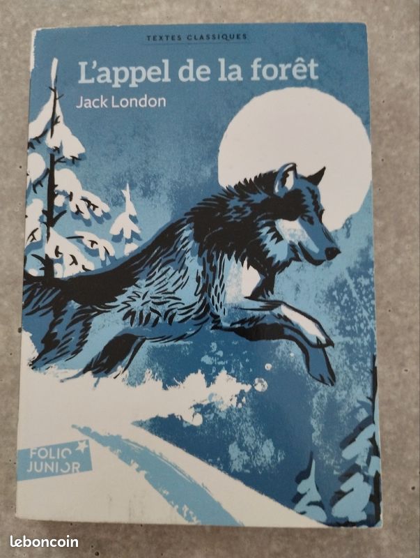 L'appel de la forêt (image 1)