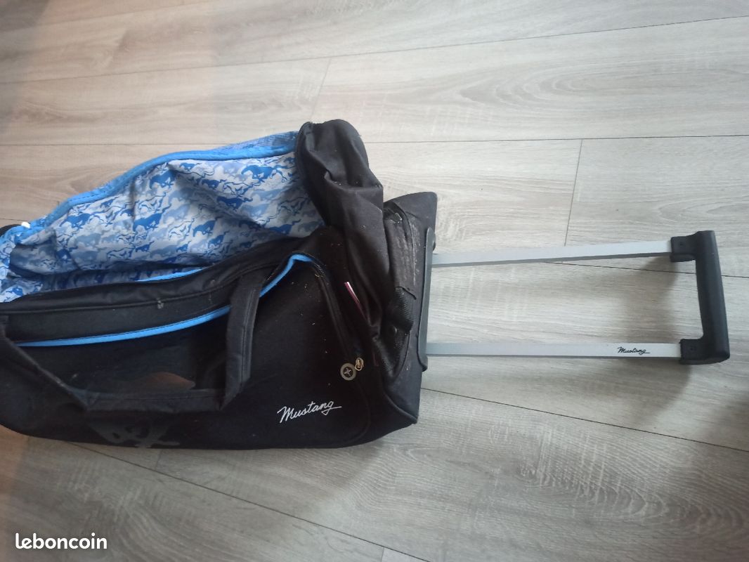 Sac 60Ltype valise de voyage (image 1)