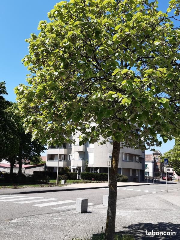 Appartement 3 pièces 66 m² · à Héricourt · 66 m² · 510 €