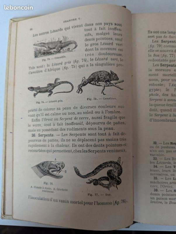 Les sciences physiques et naturelles du certificat d'études (image 4)