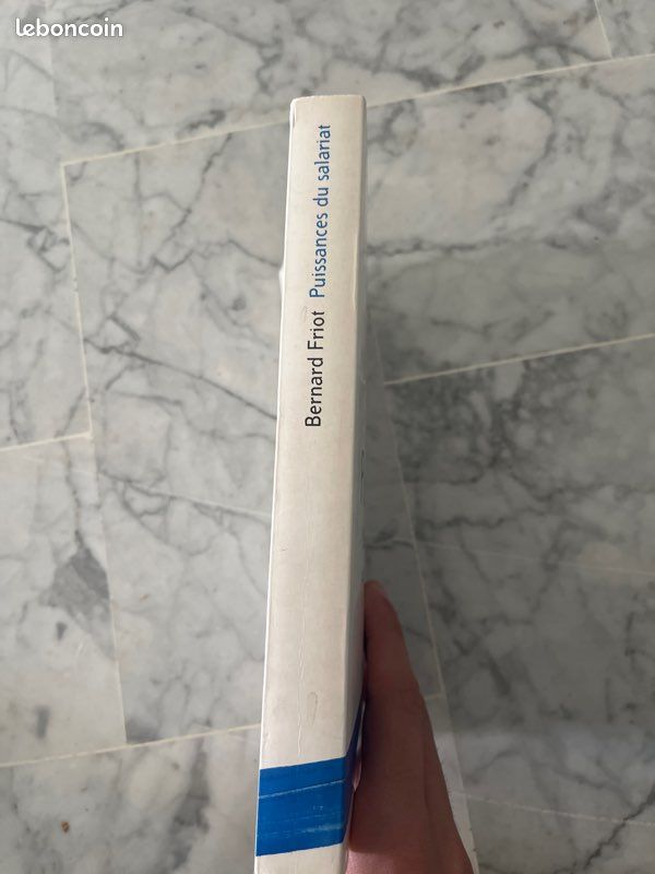 Puissances Du Salariat: Emploi Et Protection Sociale à La