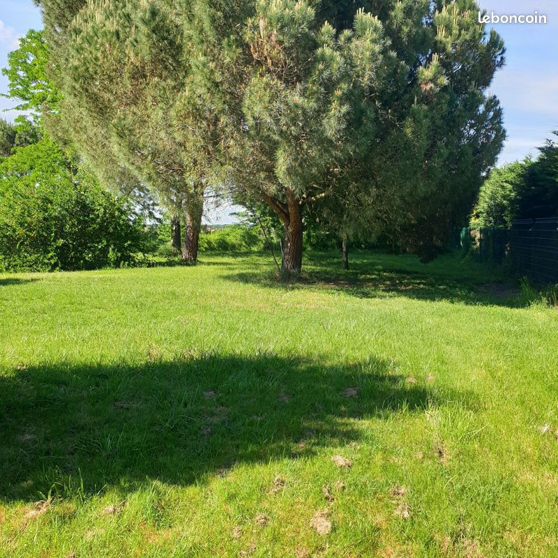 Terrain constructible 1200 m2 · à La Ville-Dieu-du-Temple · 86 000 €