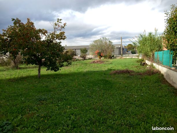 Terrain constructible