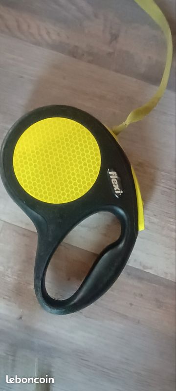 Laisse pour chien (image 3)