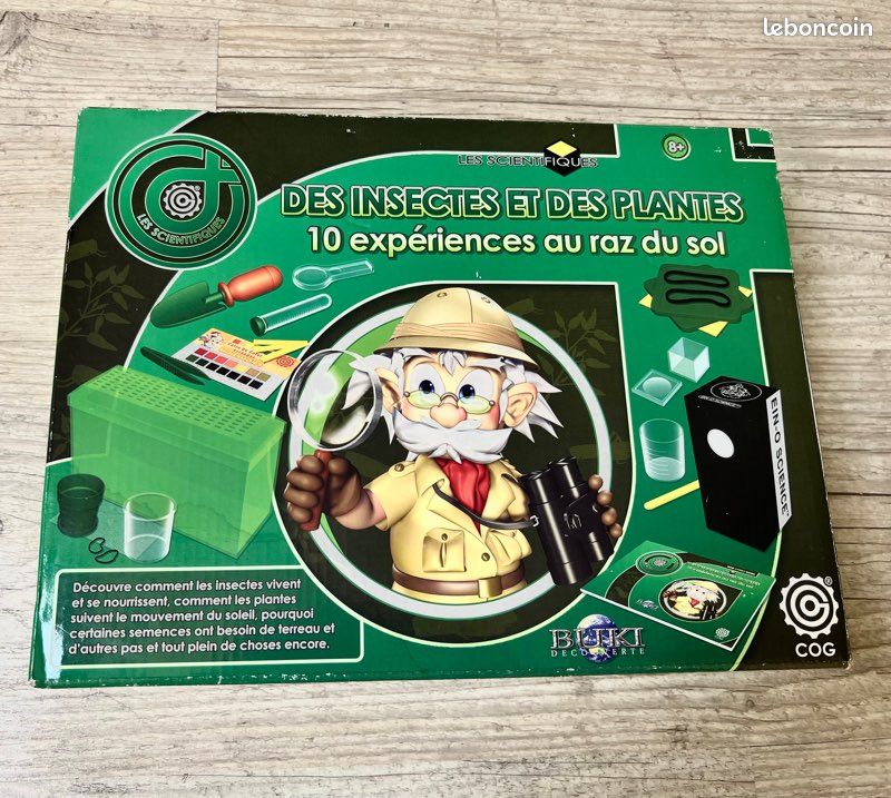Des insectes et des plantes (image 1)