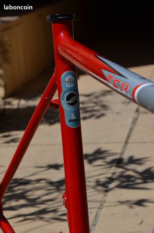 Kit cadre carbone GIANT TCR Advanced Pro Disc Chameleon (2021) pas cher