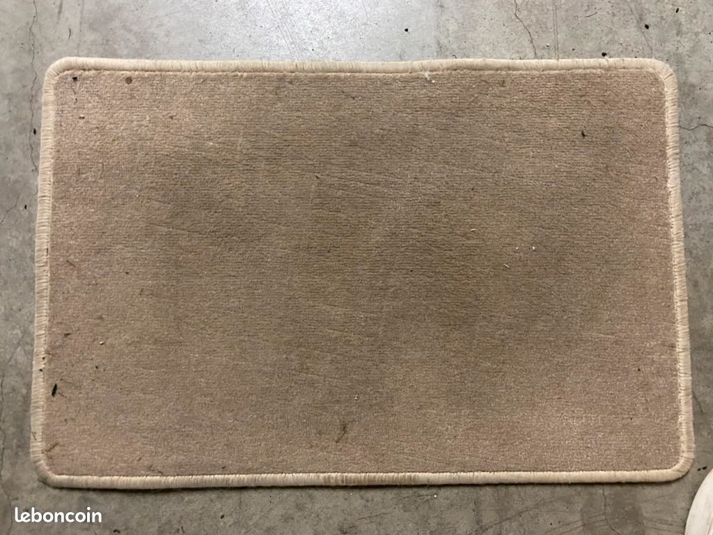Ensemble de Paillassons Variés – Confort et Élégance pour Votre Entrée (image 7)