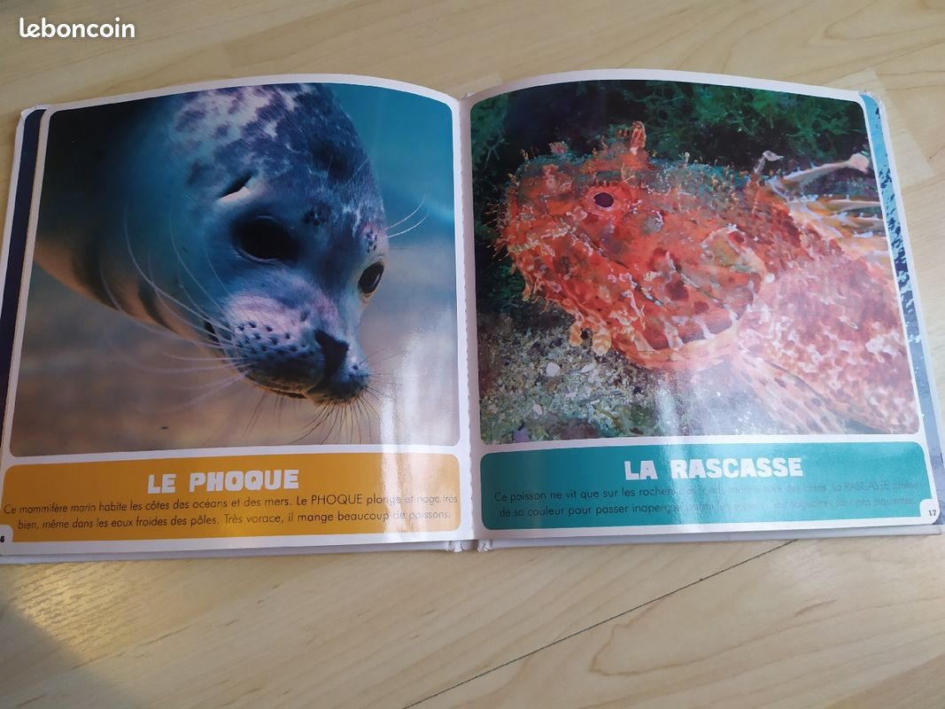 Livre enfant les animaux de la mer (image 2)