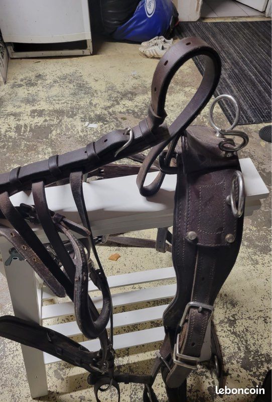 Bride De Conduite En Cuir Noir - Poneys, Cob, Chaîne Argent Et Fer à Cheval