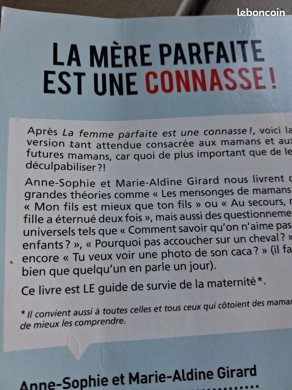 La mère parfaite est une connasse (image 3)