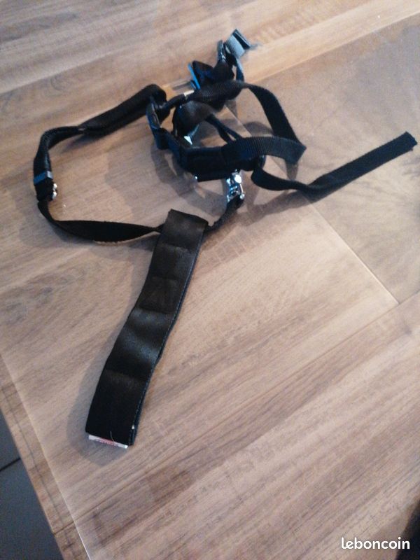 Ceinture de sécurité chien (image 2)